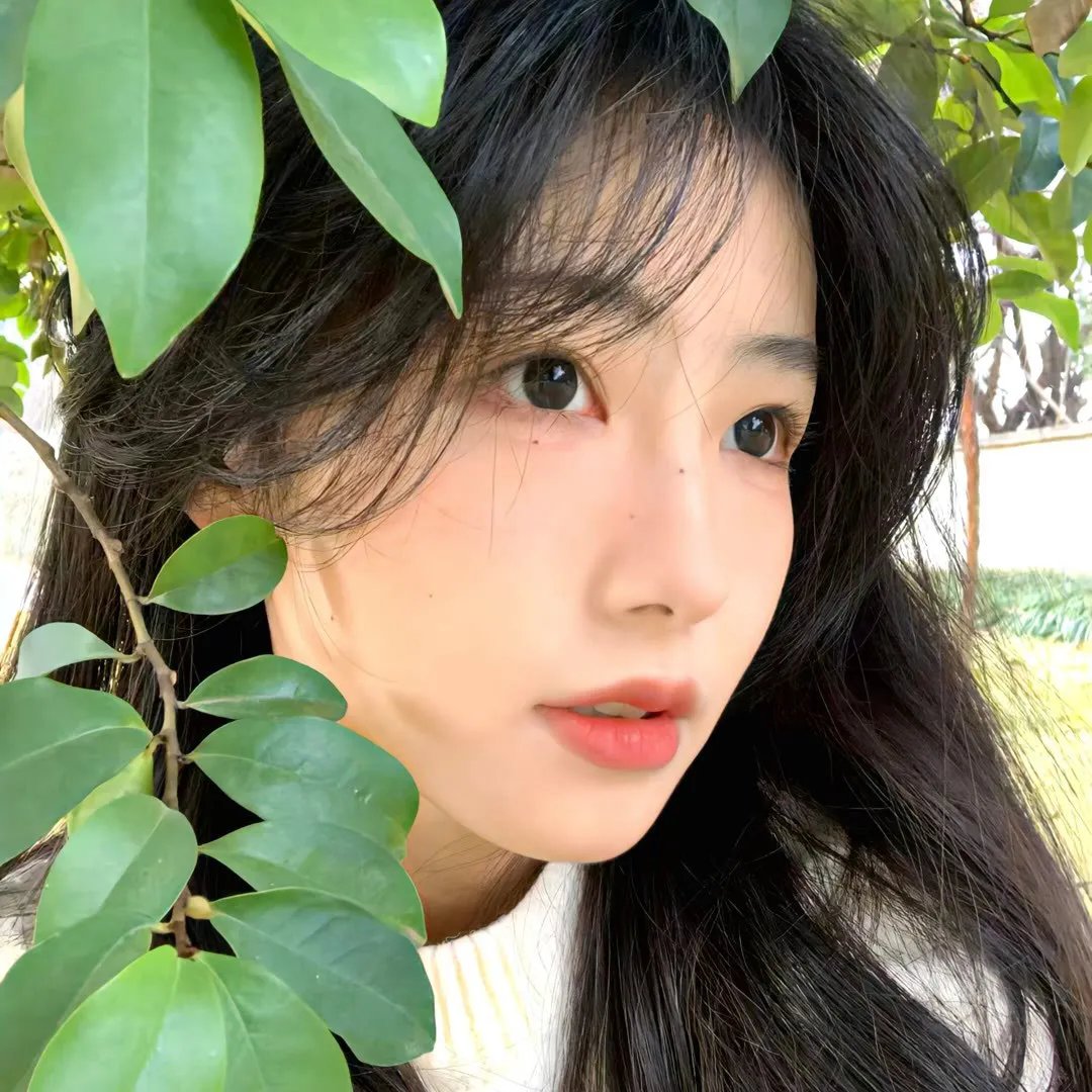 倾城天下