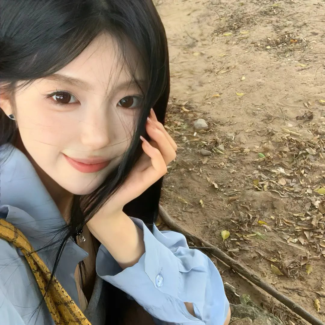 023档案